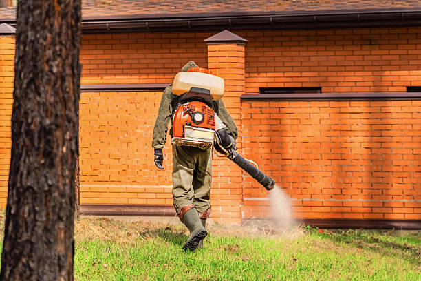 Bed Bug Clearance Verification and Documentation in Harmony Grove